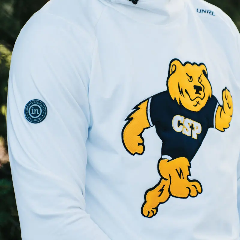 CSP.webp